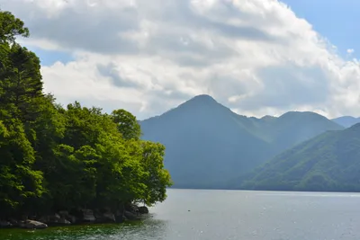 DSC_3936 (Large).JPG